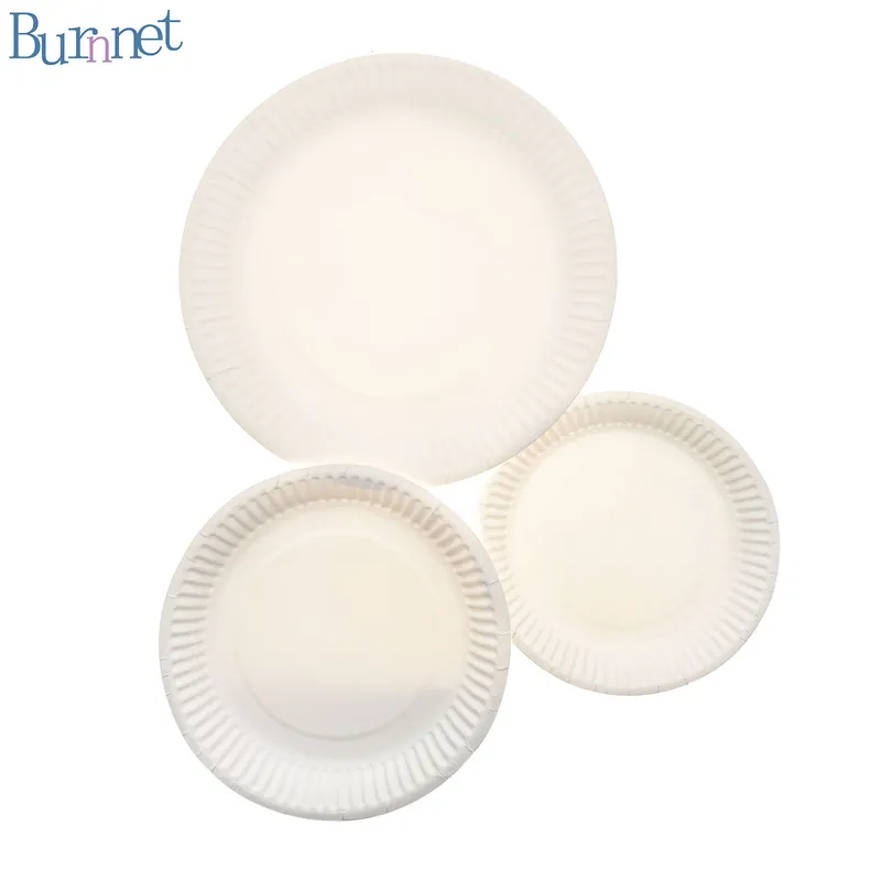 Plastic-Free Biodegradable Disposable Fruit Paper Plate