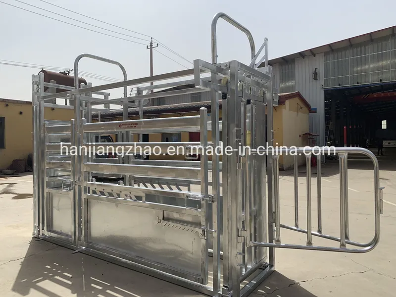 New Building Cattle Yards for 80 Heads (XMM-CP18)