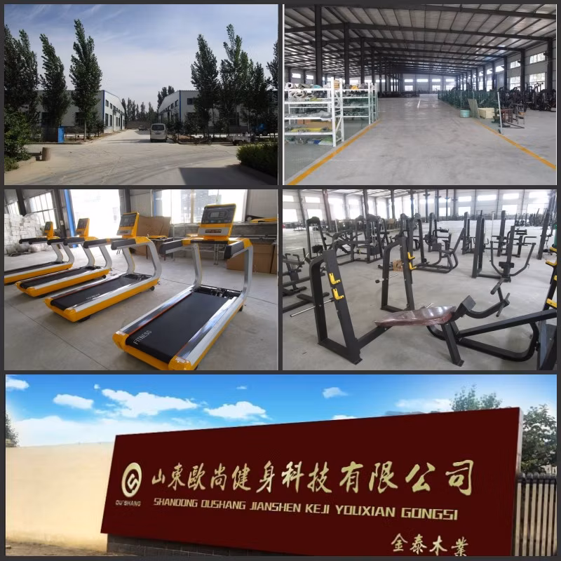 Factory Commercial Indoor Rower Price