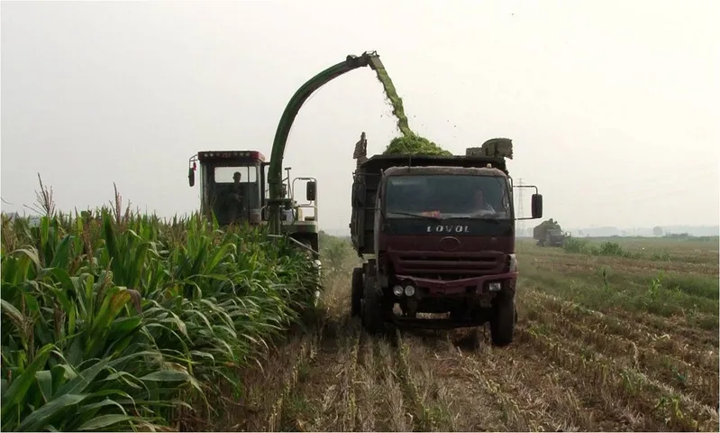 Farm Machinery Flail Type Forage Harvester