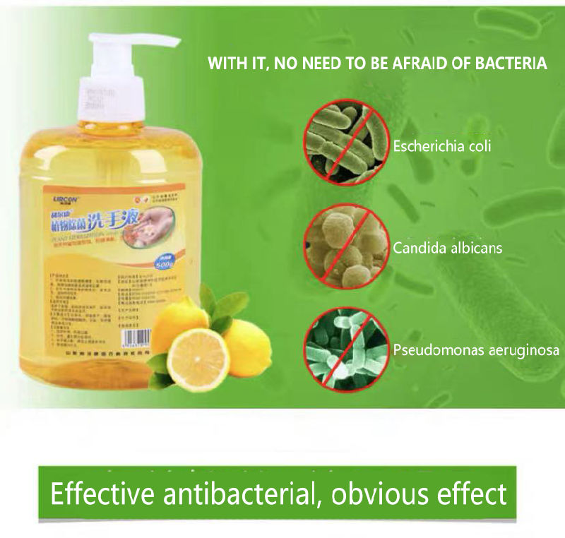 New Arrival Best Selling Products Natural Plant Hand Sterilization Wash Liquid Soap