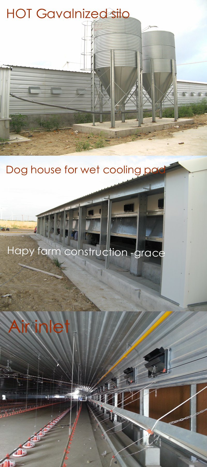 Steel Structure Poultry Breeding House with Full Set Production Equipment