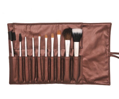 10PCS Professional Cosmetic Brush with Favorable Price