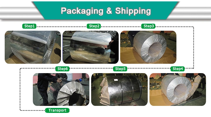 Hot Dipped Galvanized Big Spangle Steel Coil for Roofing Sheet