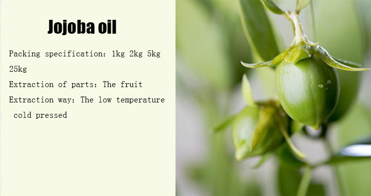 Fragrant Oil Jojoba Oil Essential Oil Plant Extracted Cosmetic Base Oil
