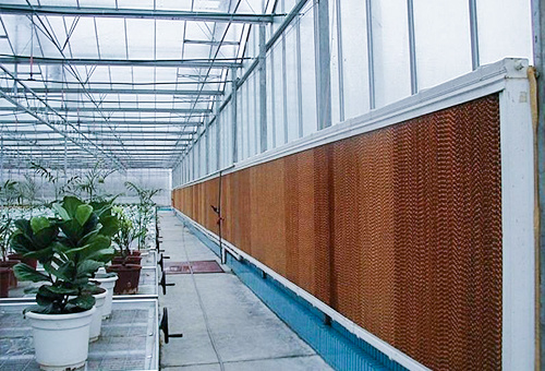 Industrial Cooling Pad/Greenhouse Wall Evaporative Wet Cooling Pad