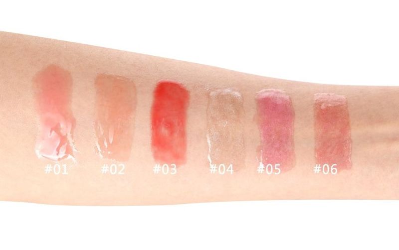 Private Label 6 Colors Lipgloss OEM Cosmetics Liquid Lipstick for Makeup Cosmetics