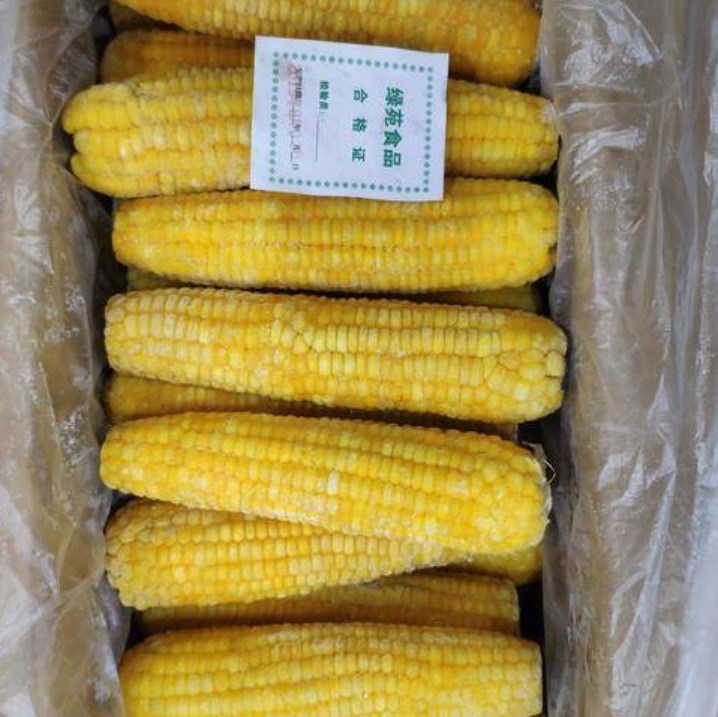China Frozen Vegetable Whole Frozen Corn with Wholesale Price