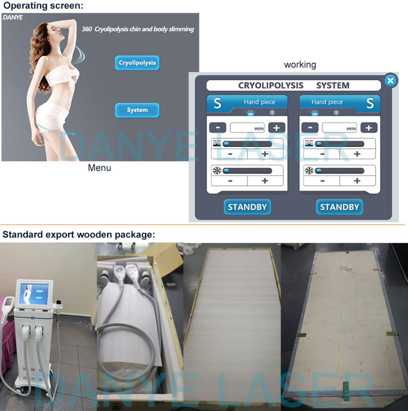 Cryolipo 360 Beauty Equipment for Weight Loss Slim Freezer Ice Sculpting