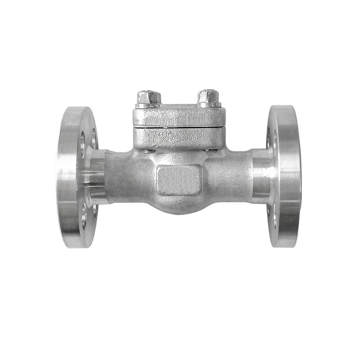 Monolithic Forged Stainless Steel F304 Joined Ball Flanged Silent Check Valve