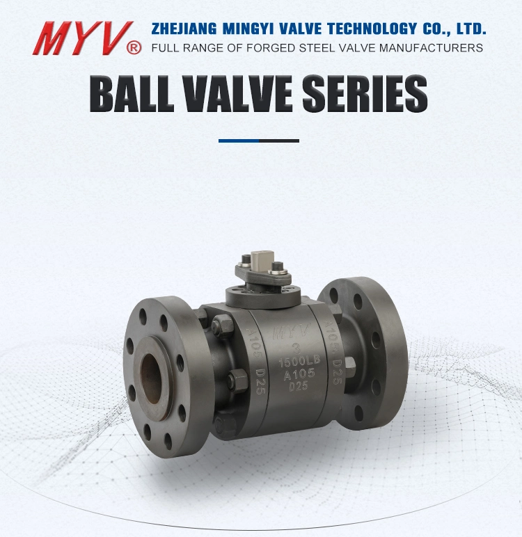 Monolithic Forged Stainless Steel F304 Joined Ball Flanged Silent Check Valve