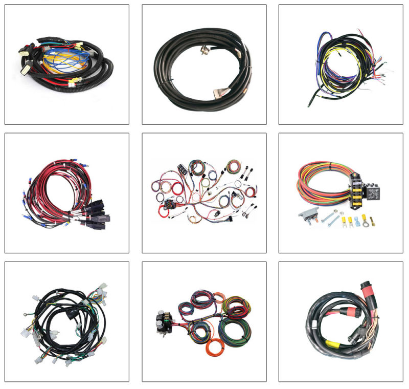 10 Year's Qualified Supplier Custom Wire Harness for Car&#160; Audio
