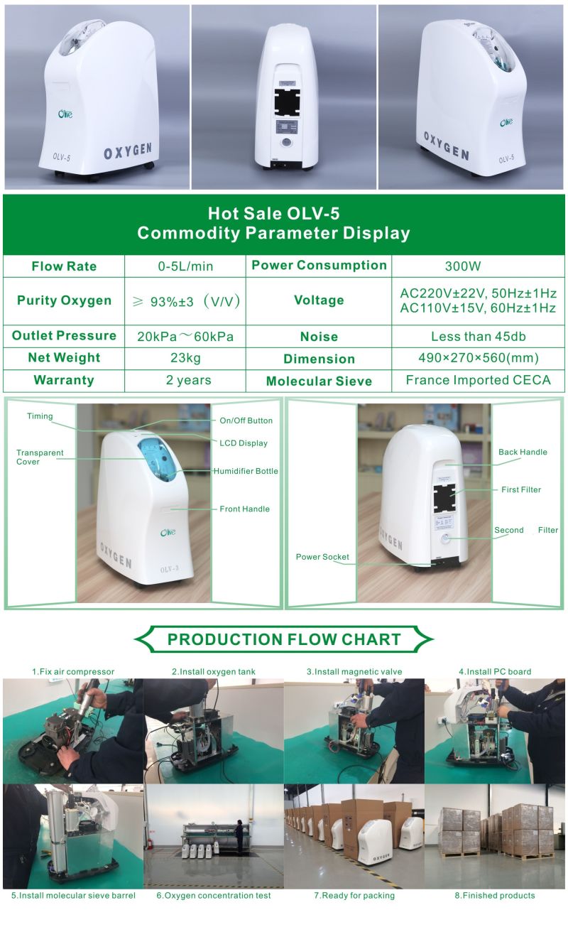 Home Intelligent Molecular Sieve Oxygen Concentrator Use Long Lifespan