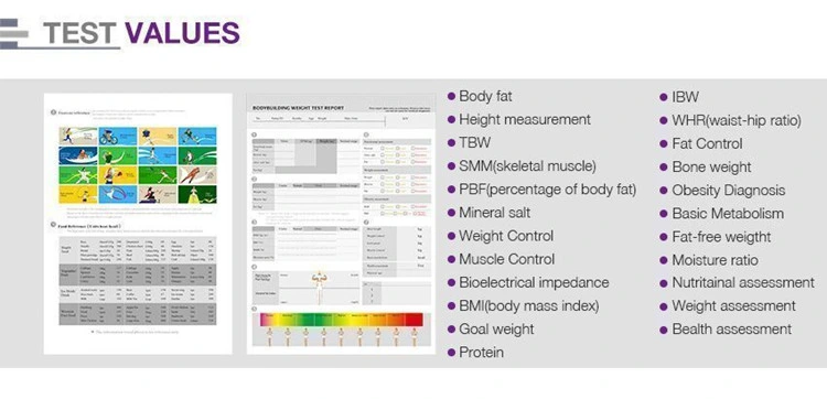 Totally 25 Values of Composition BMI Ibw Body Fat Analysis