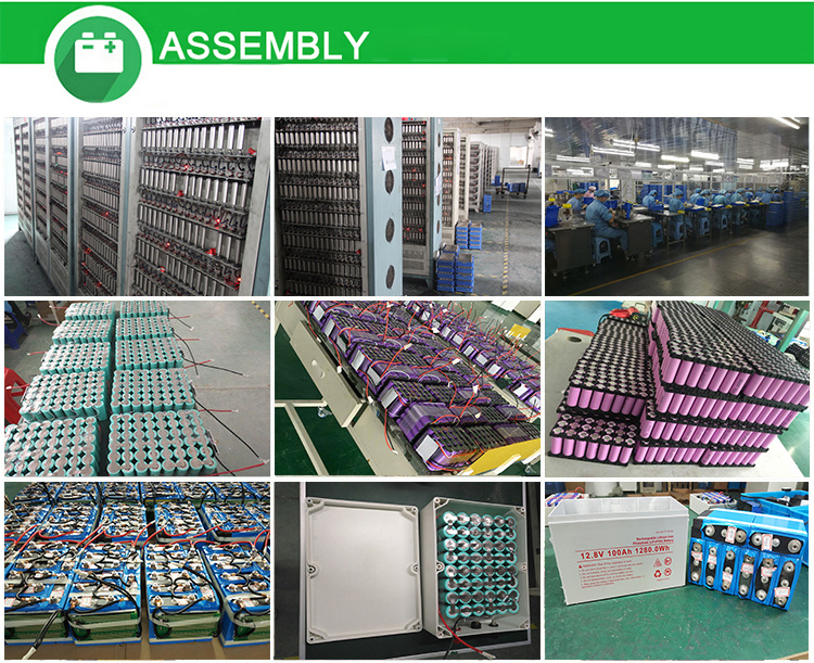 Yangtze Solar Storage Battery LiFePO4 48V Batteries for Solar Panels