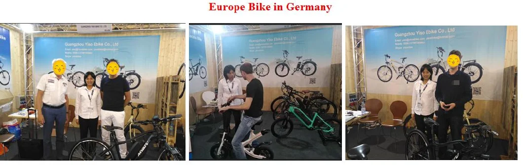 Steel Electric Bike Frame Electric Electric City Bicycle Vehicles