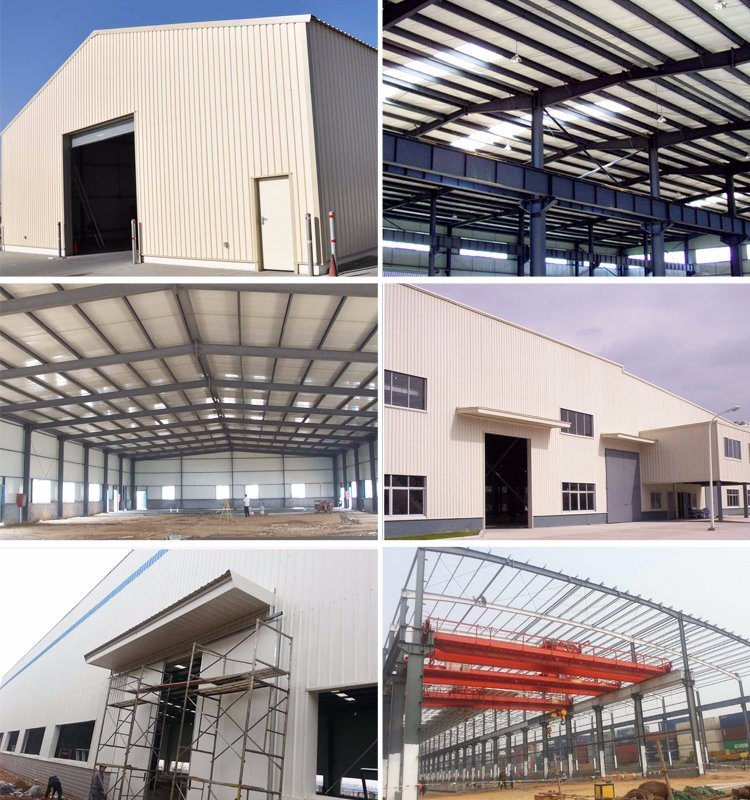 Light Weight Canopy Design Steel Structure Factory Shed