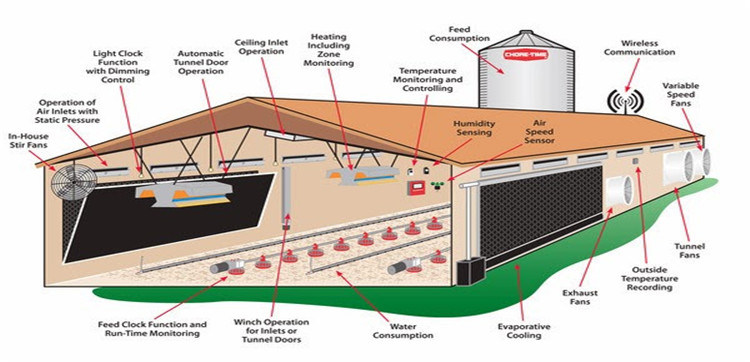 Prefabricated Steel Construction Structure Poultry Chicken Poultry Breeding Houses