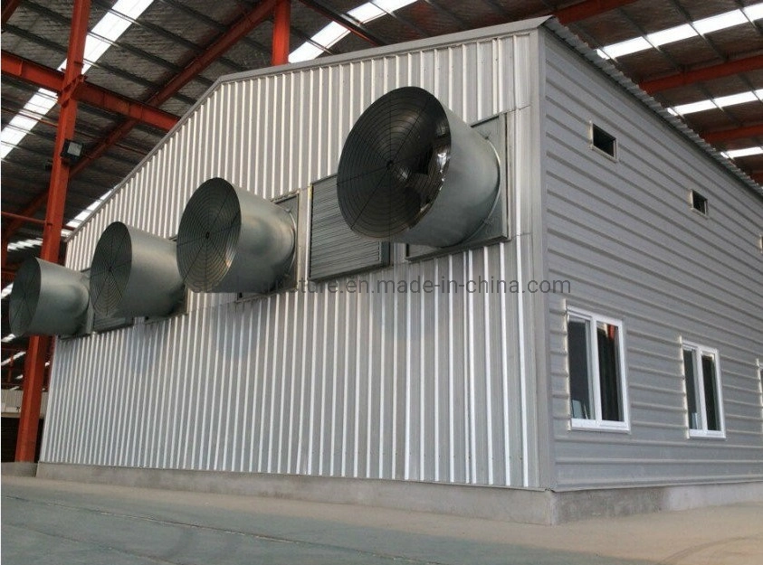 Hot Sale Prefabricated Construction Steel Structure Chicken Poultry Shed Farm Building House Shed for 10000 Chickens