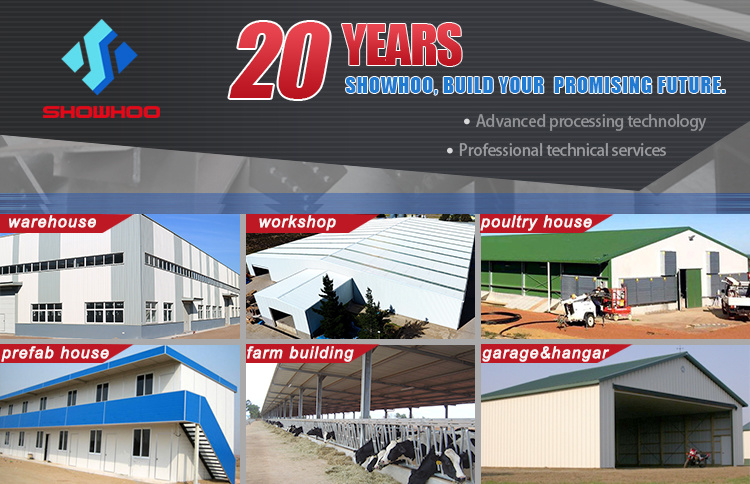 Customized Design Steel Garage/Steel Structure Hangar