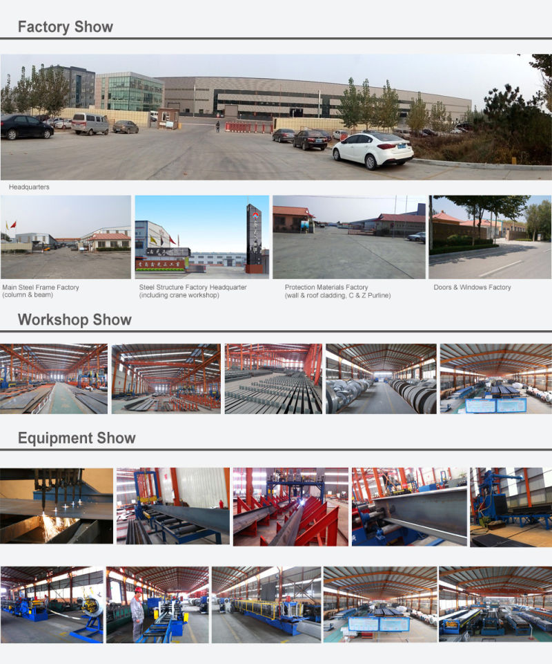 Steel Structure Building/Steel Structure Framework (SSW-256)