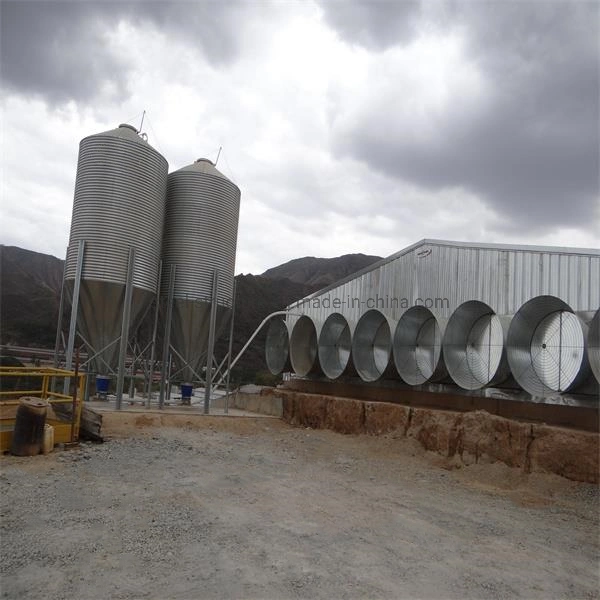 Hot Sale Prefabricated Construction Steel Structure Chicken Poultry Shed Farm Building House Shed for 10000 Chickens