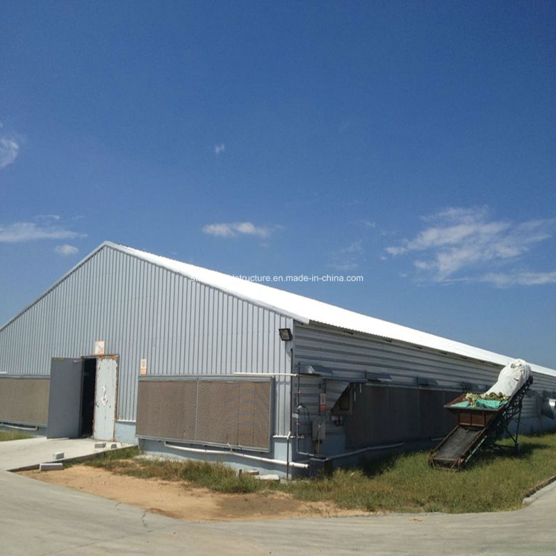 Modern Style Prefabricated Steel Structure Shed Poultry House for Sale