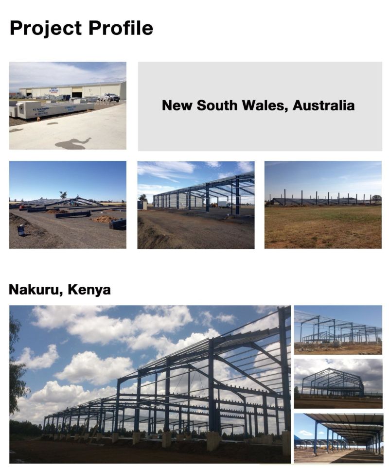Low Cost H Beam Steel Structure Prefab Prefabricated Metal Frame Storage Warehouse Building House Shed Construction Roofing