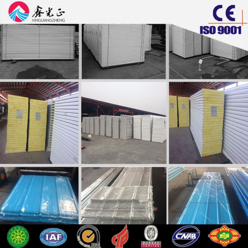 Steel Structure Building/Steel Structure Framework (SSW-256)