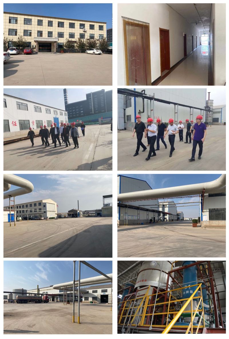 Methyl Cellulose HPMC for Tile Adhesive/Coating/Ceramic Adhesive Chemical