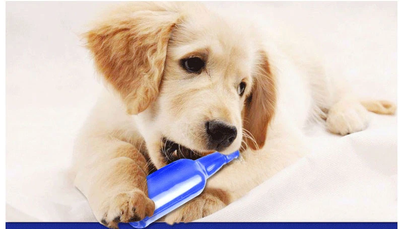 Pet Dog Toys Molar Teeth Cleaning Teeth Resistant to Bad Breath and Healthy Teeth Toys