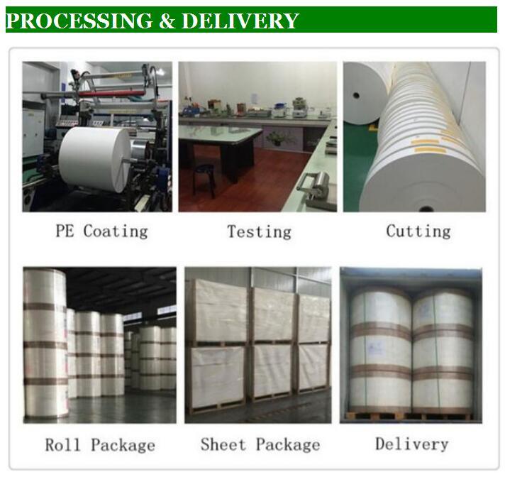 Direct Factory Price One Side / Single Side PE Coated Paper in Roll