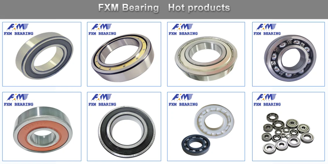 High Temperature and Corrosion Resistant 6000/6200/6300/6400/6800/6900 Series Ceramic Bearings/Hybrid Bearing