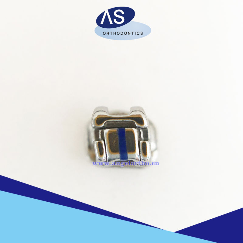 Manufacture Orthodontic Passive Teeth Self Ligating Metal Brackets 2g