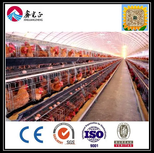 2017 Chinese New Material Earth Quake Resistance Chicken House