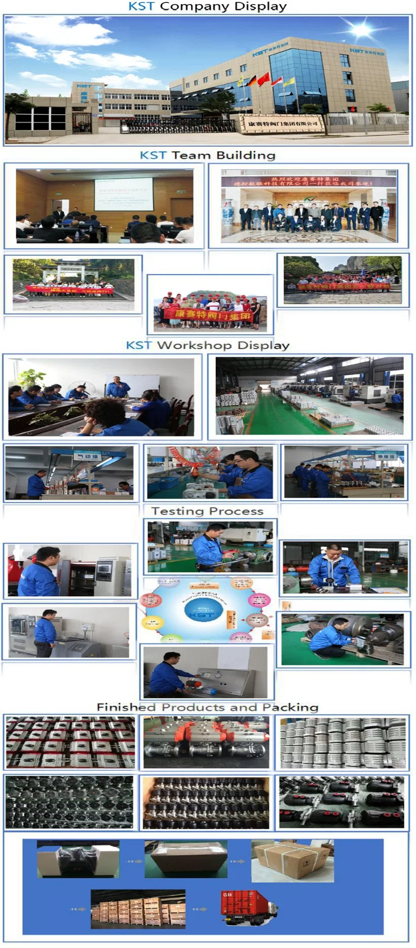 Wcb Wafer Butterfly Valve with Rotary Electric Valve Actuator