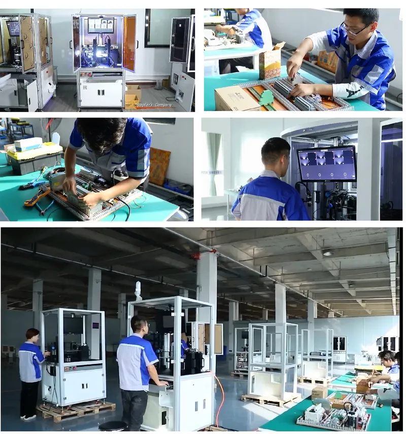 Sipotek Linear Transport Xyz Vision Inspection Machine for Surface Defects