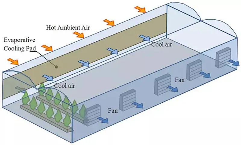 Fan Exhaust Fan Axial Fan Air-Cooled Exhaust Fan