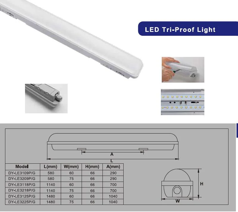 LED Waterproof Fixtures Tri Proof Light