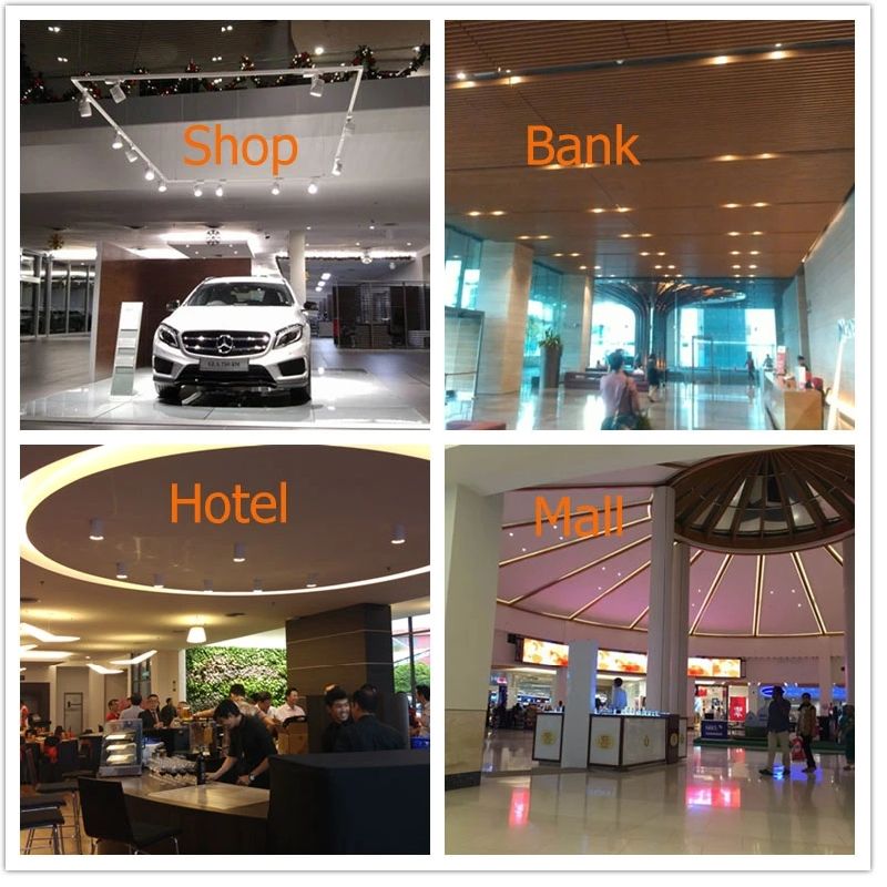Venezina Spotlight LED Light R6020 6W/10W LED Downlight LED Ceiling Light LED Light LED Down Light