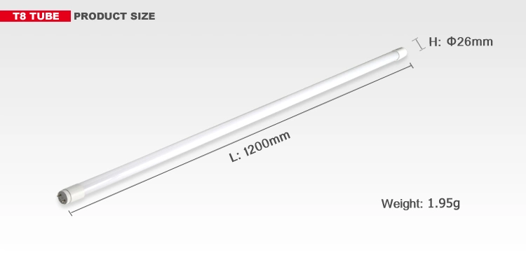 0.6m 1.2m 1*10W 1*20W LED Batten Light Fixture with Glass Tube