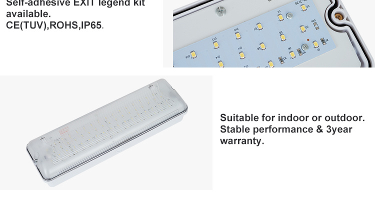 Europe Popular Waterproof Emergency Lighting Self-Contained LED Emergency Lamp