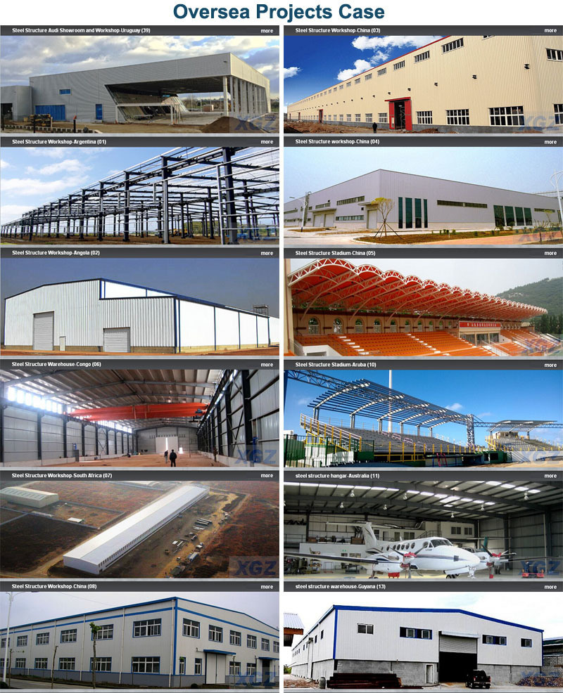 Prefab Long Span Simple Construction Fast Built Steel Building